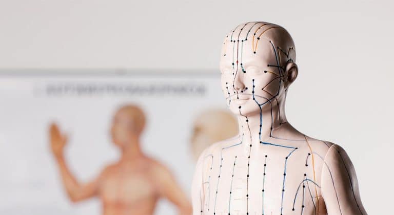 Learn the Foundations of Chinese Medicine - Shenzhou Open University of Traditional Chinese Medicine