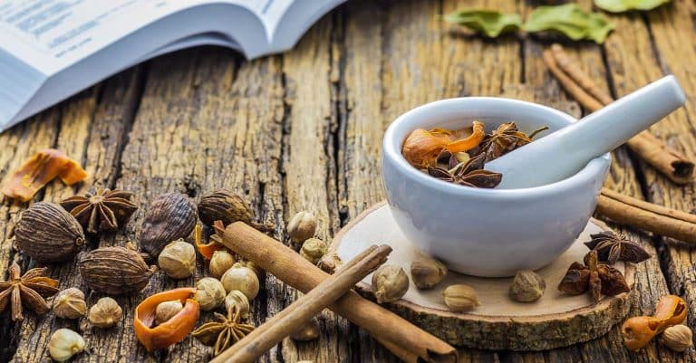 Opleiding Chinese Kruidengeneeskunde - Shenzhou Open University of Traditional Chinese Medicine