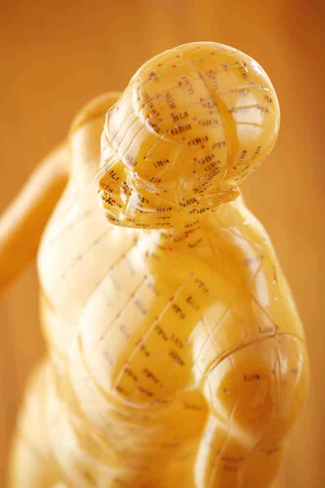 Education Acupuncture at Shenzhou Open University of TCM